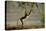 Yellow Baboon Reaching for Leaves-null-Stretched Canvas