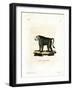 Yellow Baboon-null-Framed Giclee Print