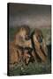 Yellow Baboons and Baby-DLILLC-Stretched Canvas
