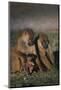 Yellow Baboons and Baby-DLILLC-Mounted Photographic Print