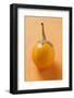 Yellow Baby Aubergine-Foodcollection-Framed Photographic Print