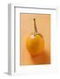 Yellow Baby Aubergine-Foodcollection-Framed Photographic Print