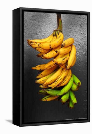 Yellow Bananas-null-Framed Stretched Canvas