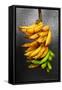 Yellow Bananas-null-Framed Stretched Canvas
