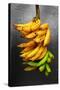 Yellow Bananas-null-Stretched Canvas