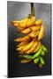 Yellow Bananas-null-Mounted Photo