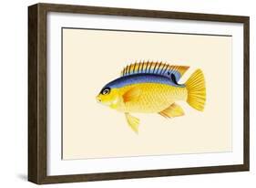 Yellow Bartikyah-John Whitchurch Bennett-Framed Art Print