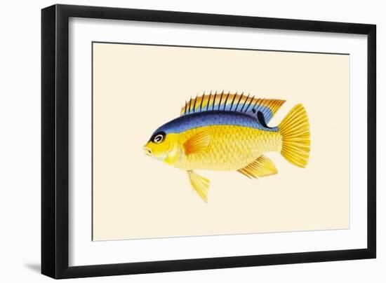 Yellow Bartikyah-John Whitchurch Bennett-Framed Art Print