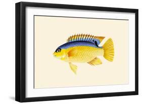 Yellow Bartikyah-John Whitchurch Bennett-Framed Art Print