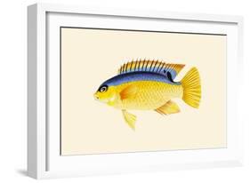 Yellow Bartikyah-John Whitchurch Bennett-Framed Art Print