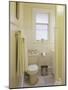 Yellow Bathroom-null-Mounted Photographic Print