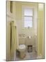 Yellow Bathroom-null-Mounted Photographic Print