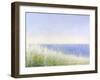 Yellow Beach Grass-Blue Water-Judy Friday-Framed Giclee Print