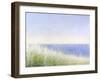Yellow Beach Grass-Blue Water-Judy Friday-Framed Premium Giclee Print