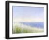 Yellow Beach Grass-Blue Water-Judy Friday-Framed Premium Giclee Print