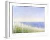 Yellow Beach Grass-Blue Water-Judy Friday-Framed Premium Giclee Print