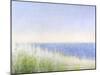 Yellow Beach Grass-Blue Water-Judy Friday-Mounted Premium Giclee Print