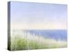 Yellow Beach Grass-Blue Water-Judy Friday-Stretched Canvas