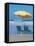 Yellow Beach Umbrella-Mark Gibson-Framed Stretched Canvas