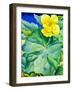 Yellow Begonia, 2019 (Watercolour on Paper)-Christopher Ryland-Framed Giclee Print