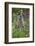 Yellow-Bellied Marmot Among Wildflowers, San Juan Nat'l Forest, Colorado, USA-James Hager-Framed Photographic Print