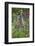 Yellow-Bellied Marmot Among Wildflowers, San Juan Nat'l Forest, Colorado, USA-James Hager-Framed Photographic Print