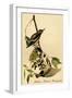 Yellow Bellied Woodpecker-John James Audubon-Framed Art Print