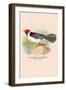 Yellow-Billed Cardinal-Arthur G. Butler-Framed Art Print