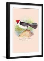 Yellow-Billed Cardinal-Arthur G. Butler-Framed Art Print