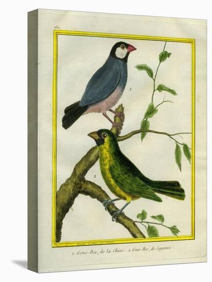 Yellow-Billed Grosbeak and Yellow-Green Grosbeak-Georges-Louis Buffon-Stretched Canvas