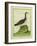 Yellow-Billed Loon-Georges-Louis Buffon-Framed Giclee Print