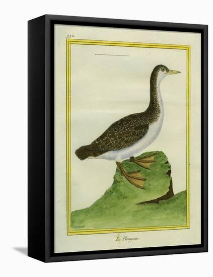 Yellow-Billed Loon-Georges-Louis Buffon-Framed Stretched Canvas
