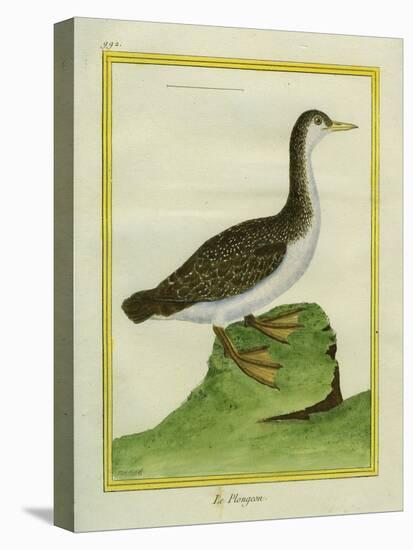 Yellow-Billed Loon-Georges-Louis Buffon-Stretched Canvas
