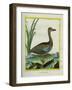 Yellow-Billed Teal-Georges-Louis Buffon-Framed Giclee Print