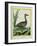 Yellow-Billed Teal-Georges-Louis Buffon-Framed Giclee Print