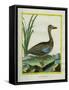 Yellow-Billed Teal-Georges-Louis Buffon-Framed Stretched Canvas