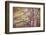 Yellow Birch Foliage-Instagram-Mirage3-Framed Photographic Print