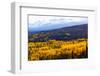 Yellow Birch Leaf on Blue Mountain Background-JHVEPhoto-Framed Photographic Print