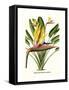 Yellow Bird of Paradise - Mandela's Gold-Louis Van Houtte-Framed Stretched Canvas