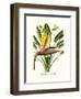 Yellow Bird of Paradise - Mandela's Gold-Louis Van Houtte-Framed Premium Giclee Print
