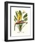 Yellow Bird of Paradise - Mandela's Gold-Louis Van Houtte-Framed Premium Giclee Print