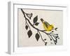 Yellow Bird On the Branch I-Patricia Pinto-Framed Art Print