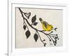 Yellow Bird On the Branch I-Patricia Pinto-Framed Art Print