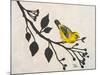 Yellow Bird On the Branch I-Patricia Pinto-Mounted Art Print