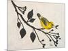 Yellow Bird On the Branch I-Patricia Pinto-Mounted Art Print