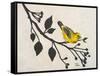 Yellow Bird On the Branch I-Patricia Pinto-Framed Stretched Canvas