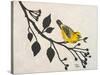 Yellow Bird On the Branch I-Patricia Pinto-Stretched Canvas