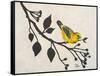 Yellow Bird On the Branch I-Patricia Pinto-Framed Stretched Canvas