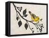 Yellow Bird On the Branch I-Patricia Pinto-Framed Stretched Canvas