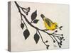 Yellow Bird On the Branch I-Patricia Pinto-Stretched Canvas